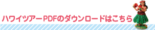 ハワイツアーPDFダウンロードはこちら